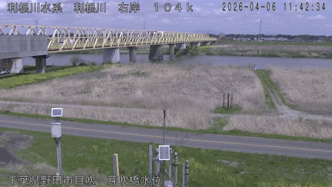 tonme2026040612_image