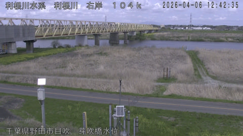 tonme2026040613_image