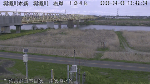 tonme2026040614_image