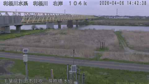 tonme2026040615_image