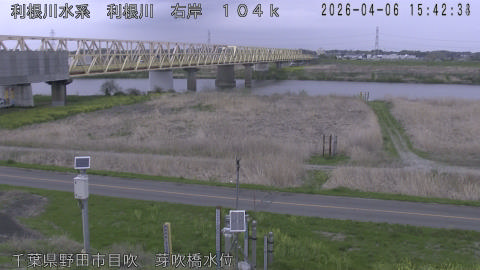 tonme2026040616_image