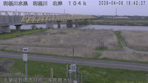 tonme2026040617_image