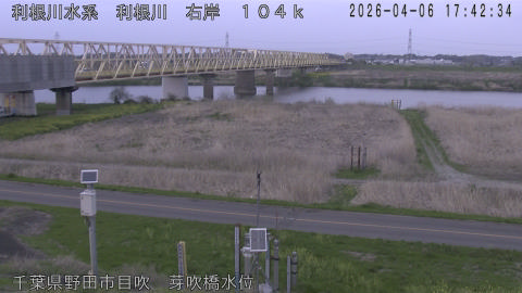 tonme2026040618_image