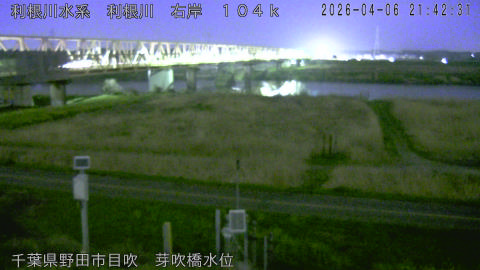 tonme2026040622_image