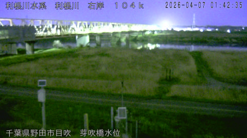 tonme2026040702_image