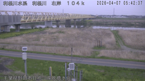 tonme2026040706_image