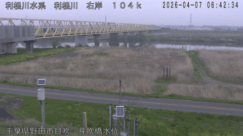 tonme2026040707_image