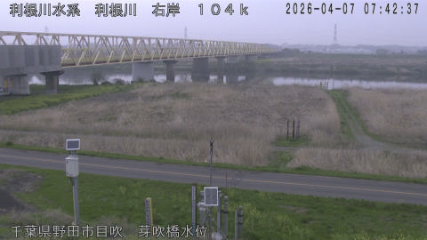 tonme2026040708_image