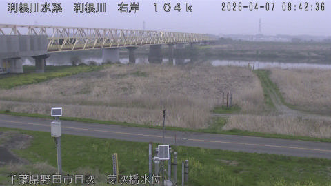 tonme2026040709_image