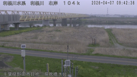 tonme2026040710_image