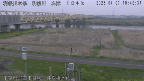 tonme2026040711_image