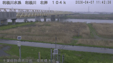 tonme2026040712_image