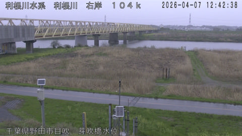 tonme2026040713_image