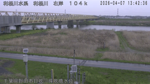 tonme2026040714_image