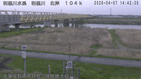 tonme2026040715_image