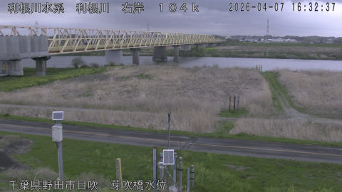 tonme2026040717_image