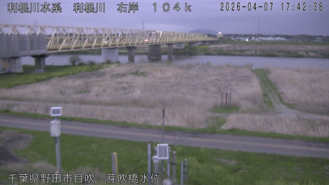 tonme2026040718_image