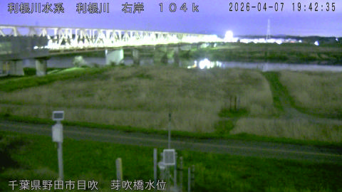 tonme2026040720_image