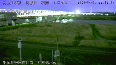 tonme2026040723_image