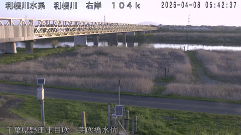 tonme2026040806_image