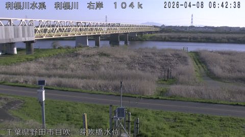 tonme2026040807_image