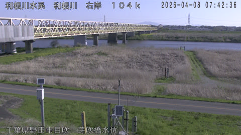 tonme2026040808_image