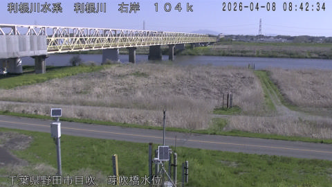 tonme2026040809_image