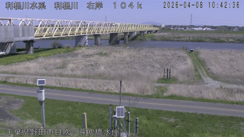 tonme2026040811_image