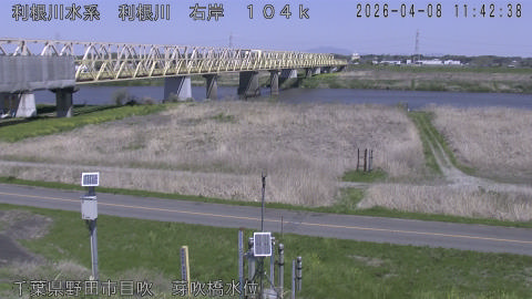 tonme2026040812_image