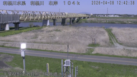 tonme2026040813_image