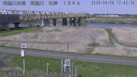 tonme2026040814_image