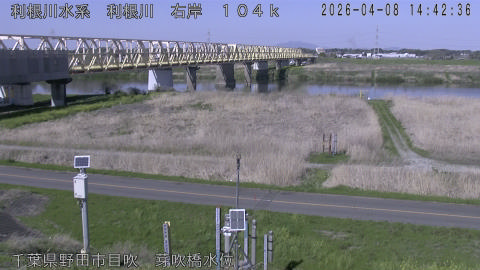 tonme2026040815_image