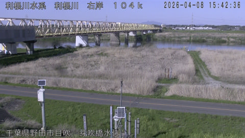 tonme2026040816_image