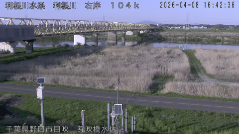 tonme2026040817_image