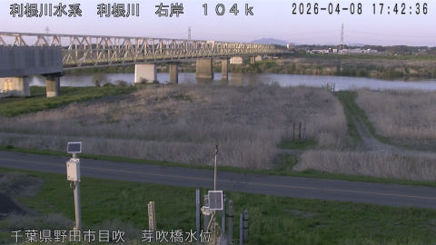 tonme2026040818_image