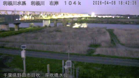 tonme2026040819_image