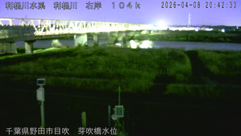 tonme2026040821_image