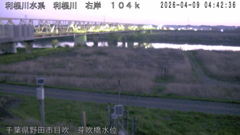 tonme2026040905_image