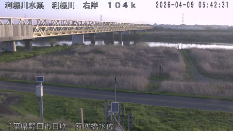 tonme2026040906_image