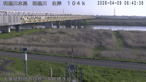 tonme2026040907_image