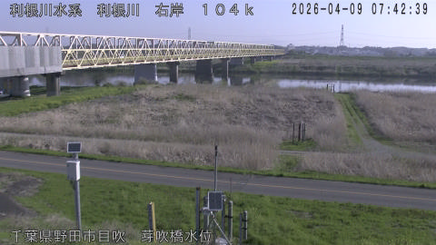 tonme2026040908_image