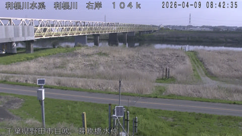 tonme2026040909_image