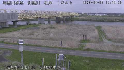 tonme2026040911_image