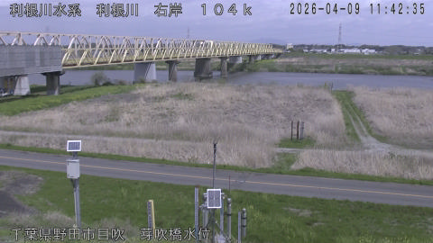 tonme2026040912_image