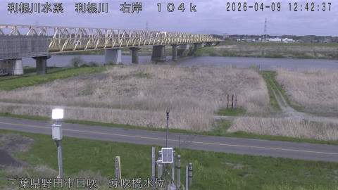 tonme2026040913_image