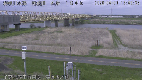 tonme2026040914_image