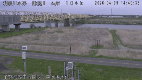 tonme2026040915_image