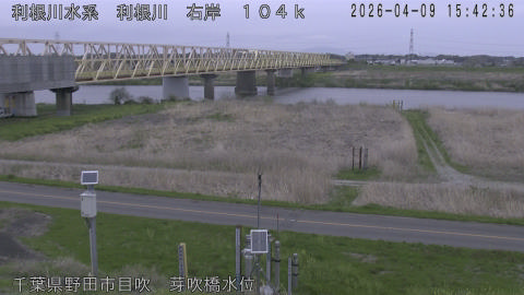 tonme2026040916_image