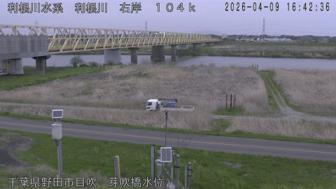 tonme2026040917_image