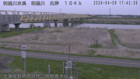 tonme2026040918_image